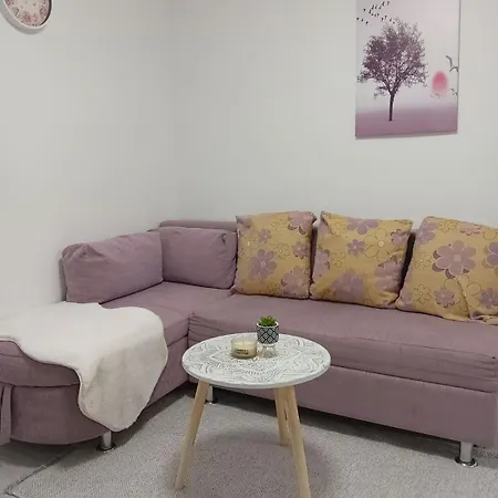 2024 Apartment *